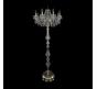 Bohemia Ivele Crystal Торшер Bohemia 1410T1/8/195-160 G V0300
